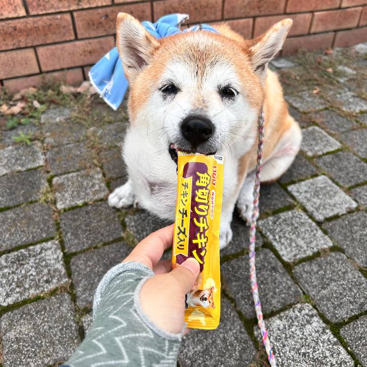 8769acba e5c6 4344 a68a 417d5162dfe9 1759894760790