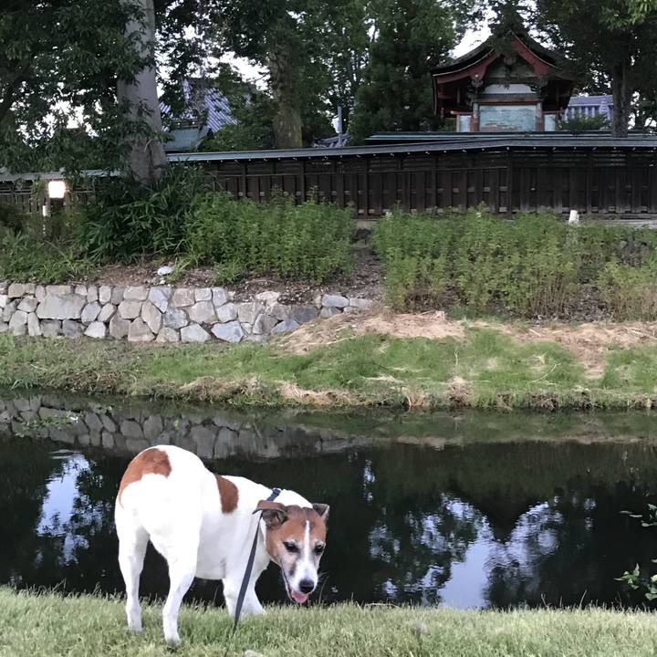 8769e040 6f0f 4e75 9810 73f48a013132 1532865568200