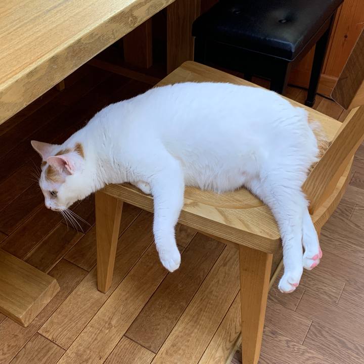 8769f96a 4d76 4606 9846 c22089dcf897 1653516563141