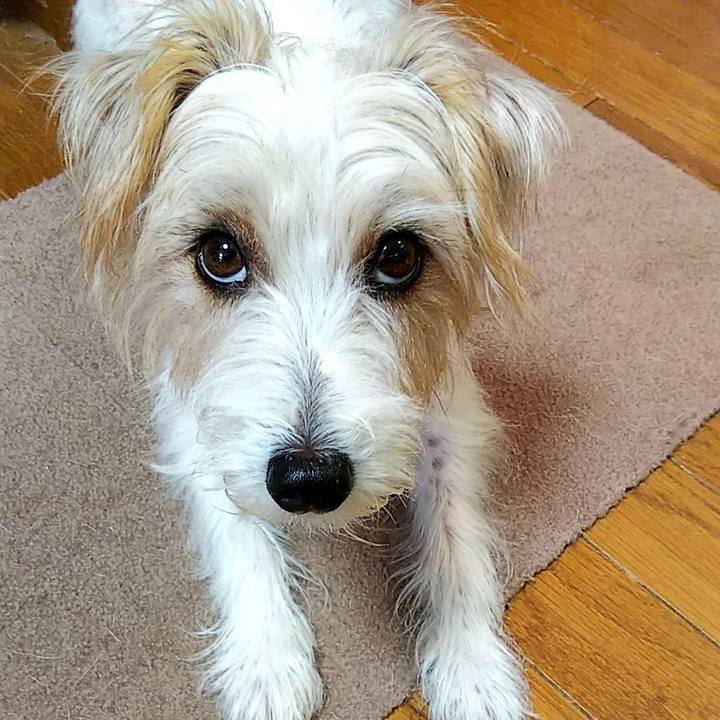 876a2ec4 0da4 40bd a334 c363284af4e3 1539561639074