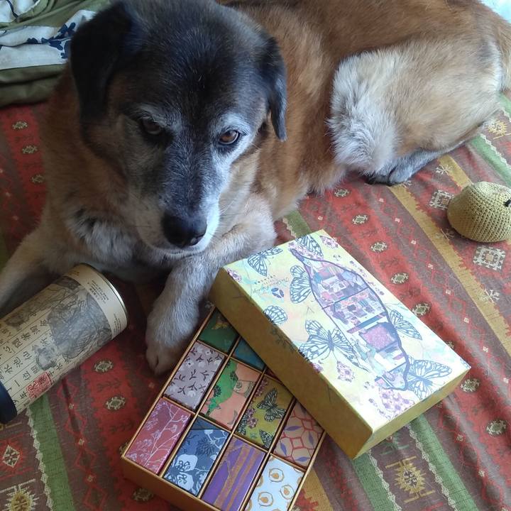 876a679d 04f9 4ee4 a1c2 2c4681333ce4 1564979408652