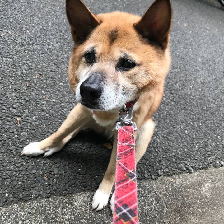 876ad66c 7c4d 462b a25e 73456ce863bb 1523918678685