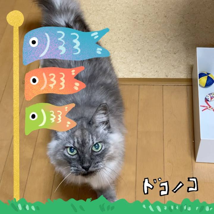 876aed89 e771 4c04 984f 88bbe1fca43a 1714890190186