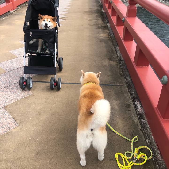 876b056b cb6e 426e 9079 163cb818f62d 1599919684757