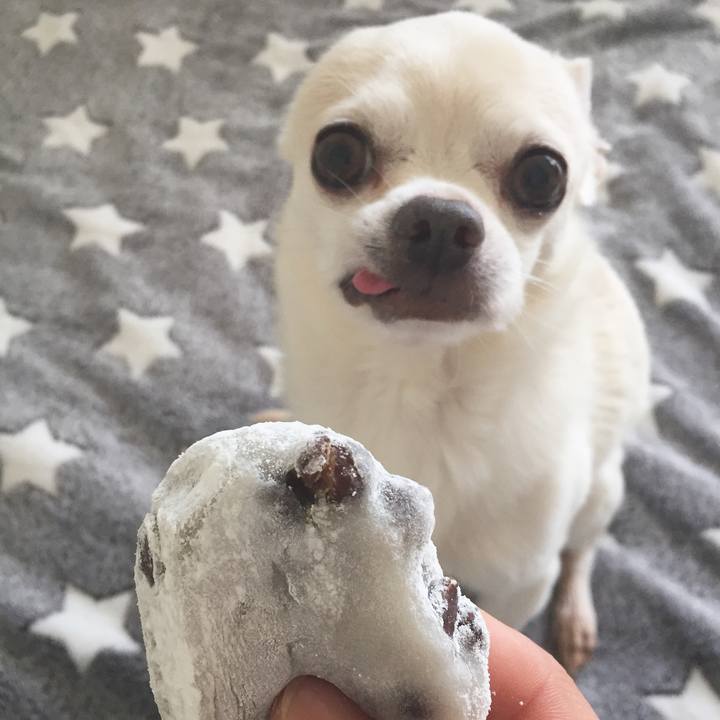 876b123e 1ebd 41a4 94a9 a3cce168fc93 1525305174312