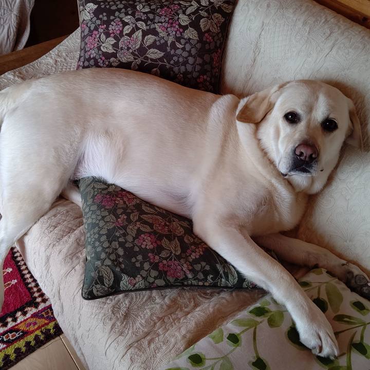 876b1356 a466 4f2c abe7 310fac17064a 1591496964213