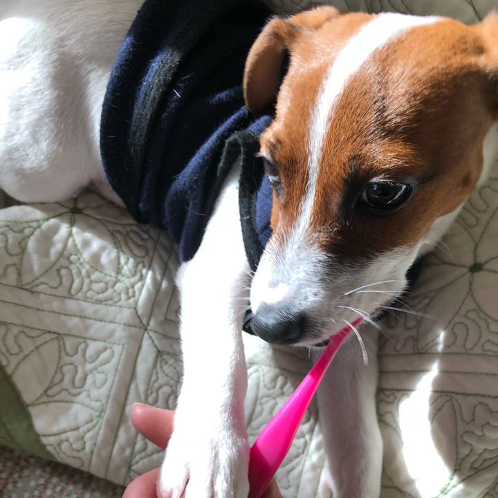 876b39a8 fe55 46e8 8913 0598fe29be5c 1515546814728