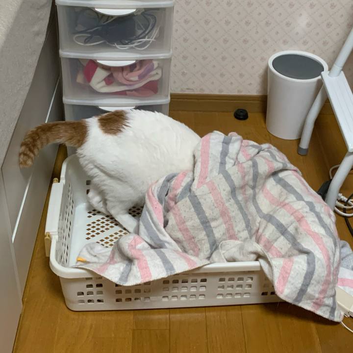 876b3e5c d2fb 4159 b771 b1197959edcf 1621628690410