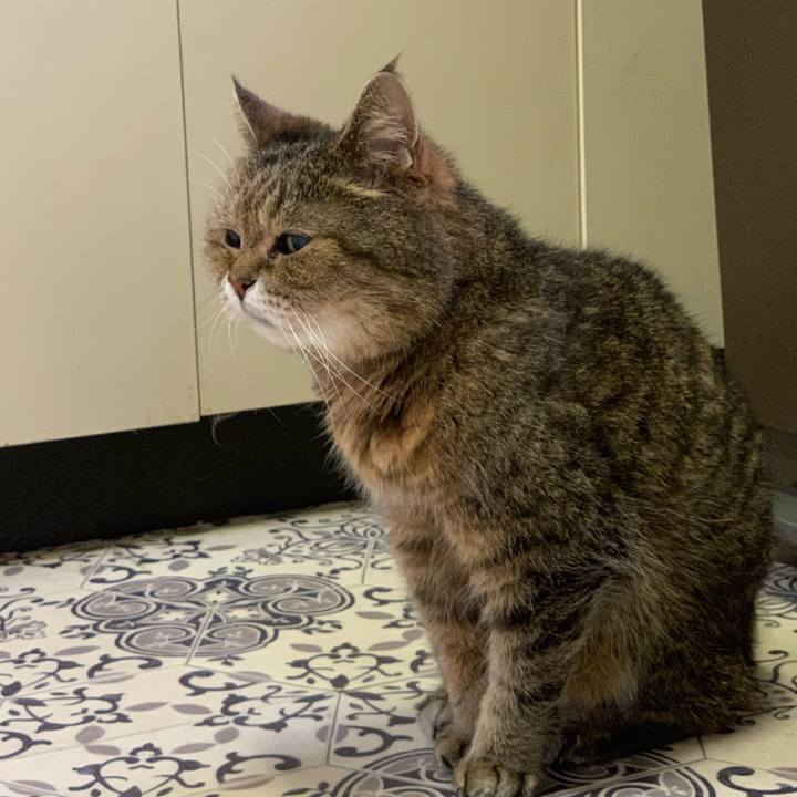 876b5293 9b6a 4dfb 8c5d ea5fecf7e19b 1561190103935