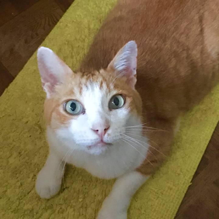 876b5ca6 a19e 4311 ad3a 8c44285b5981 1565580695480