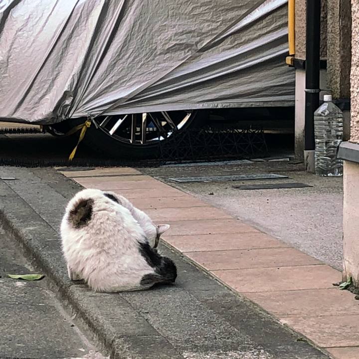 876b7ed2 a985 4730 8761 fb307a07b18d 1522830763003