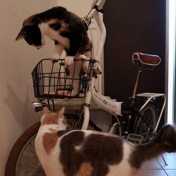 876b8cd9 9405 4ad1 8e1d fa2488e06be3 1599437615779