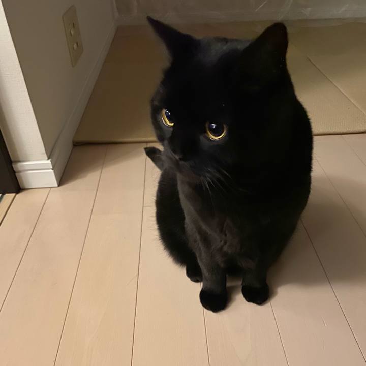 876b9d8e 728e 492d baff 2c4ffff804e4 1678622968346