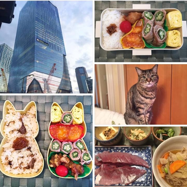 876bbdf8 ccc3 40cd a33e e45c1da2c715 1761780677956