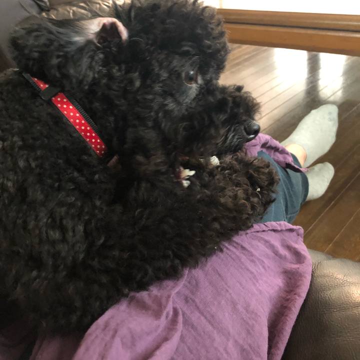 876bef6d 214e 476c b3ce 40bfa24c417d 1568328009393