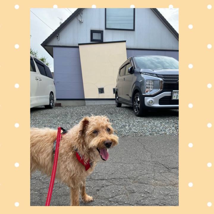 876bff3f b72b 4bb5 93cc ea323edcc03c 1659354271920