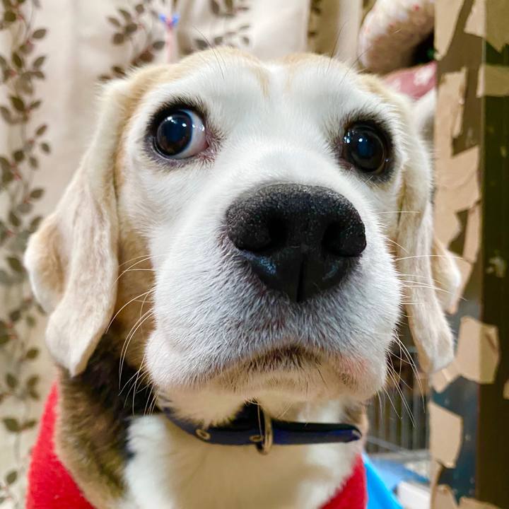 876c48a0 4a11 4ea3 a24f 37ee2a69f598 1585456554791