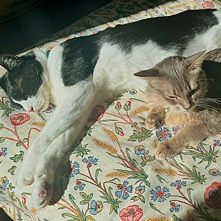 876c5653 1e2e 4f26 b30e 839e3d640231 1765771616102