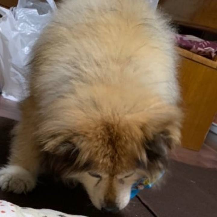 876c75c2 cc1a 43c5 a5be 12fe55d16f76 1647794634042