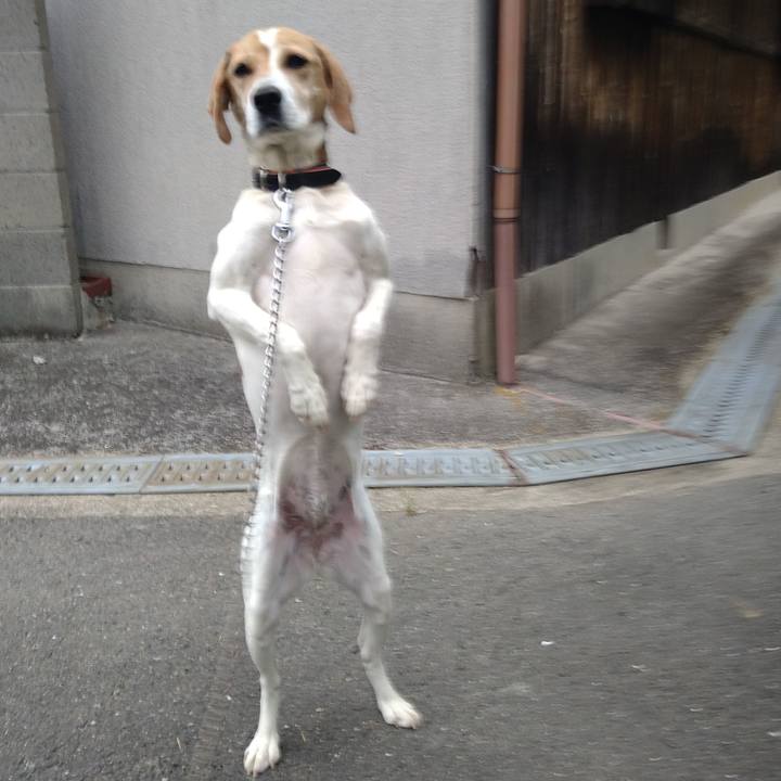 876c8e13 420b 4717 a17f 2ca3ddb64a40 1653110144781