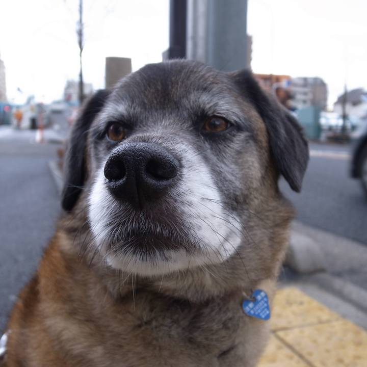 876cb8e7 e976 4ac6 a5ae 2610cb29b6ec 1584751151475