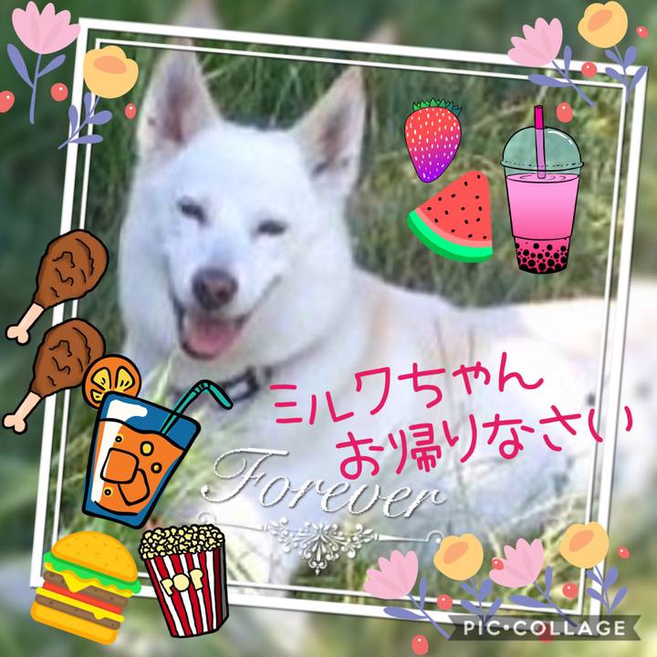 876cbd56 59a2 4b3f b0a7 b09e8d4486ad 1560170886077