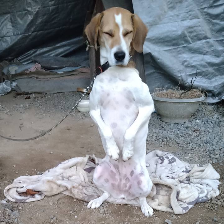 876cca6c bb3f 4f73 9aa2 d8affffa23bb 1634460629403