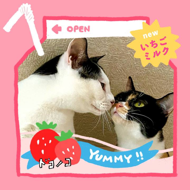 876d2b8d 41b6 428b 8d5b b5383d06b79e 1711196336049