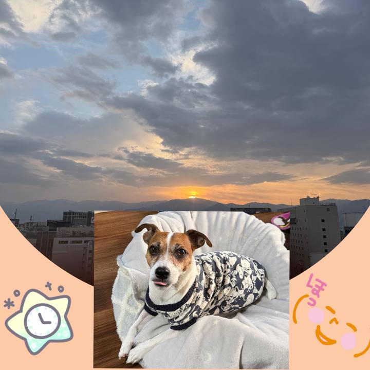 876d9019 ce41 441b a500 dfb41e584e83 1768795320362