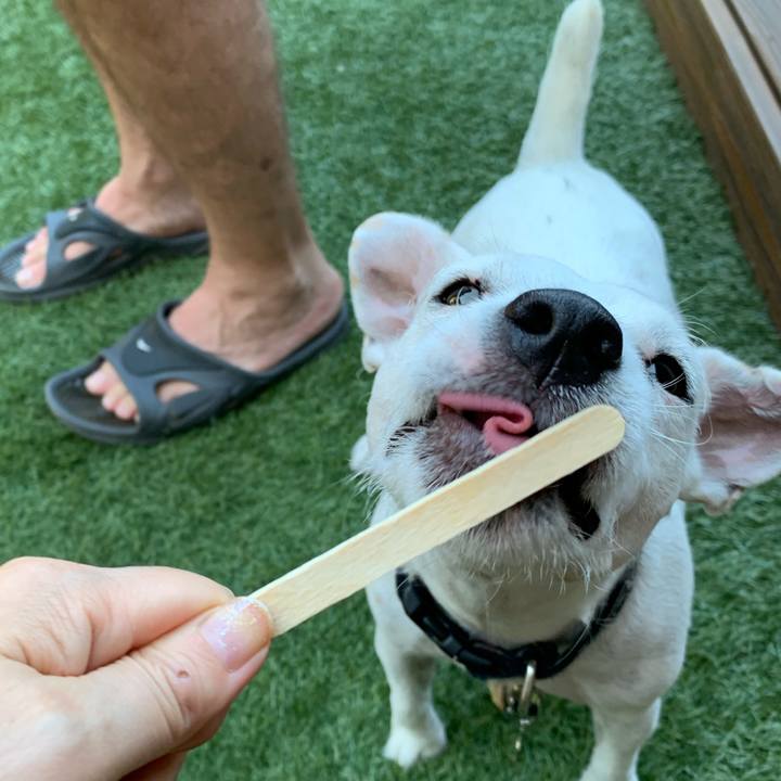 876d902c abdd 4c24 a773 ff30d9e8ce5e 1567219869171