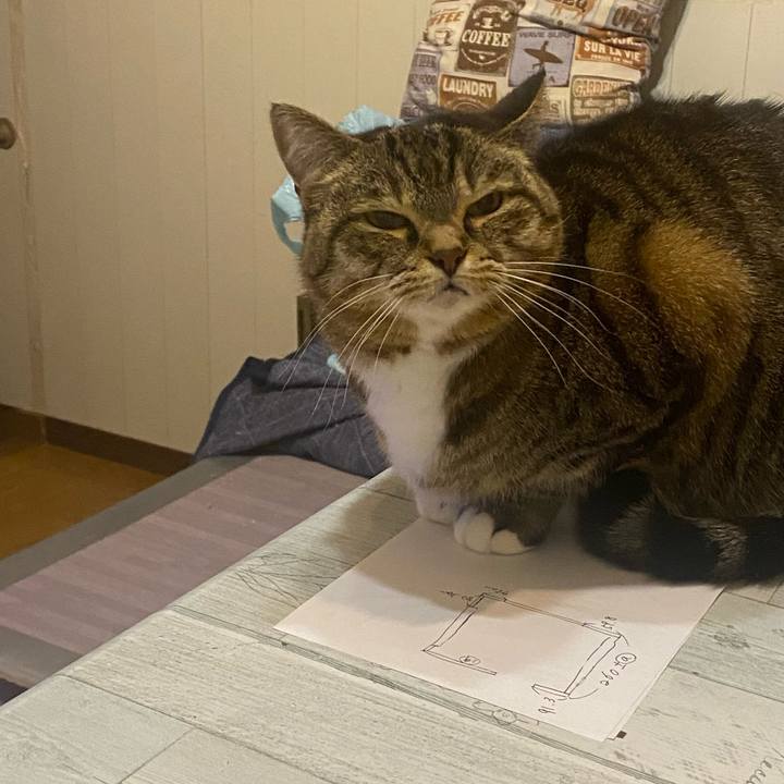 876da8af 1773 4030 afd3 4c0ec928f963 1652102148641