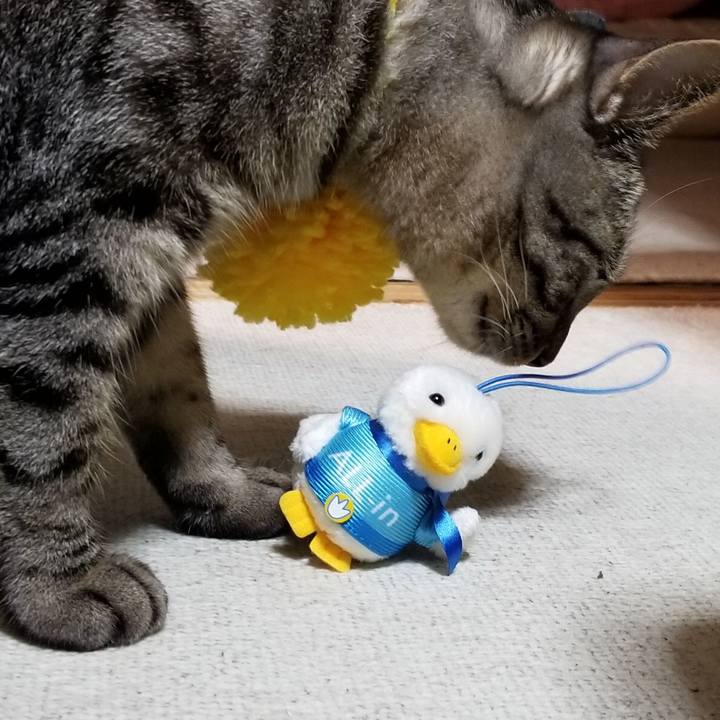 876e0103 6f08 4620 ad99 cd68efc3a595 1690768382205