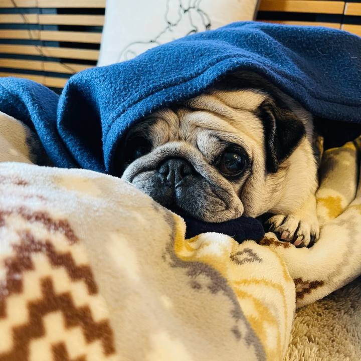 876e1ade 4d75 4b16 b6fe 7582531edd94 1772528409262