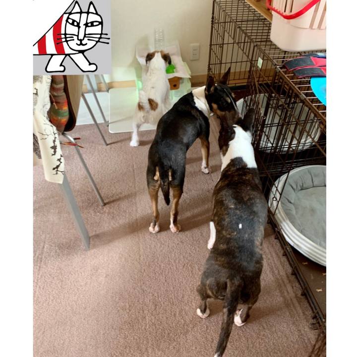 876e6a96 af6f 4588 9b37 f3cc0824c20c 1601204761095