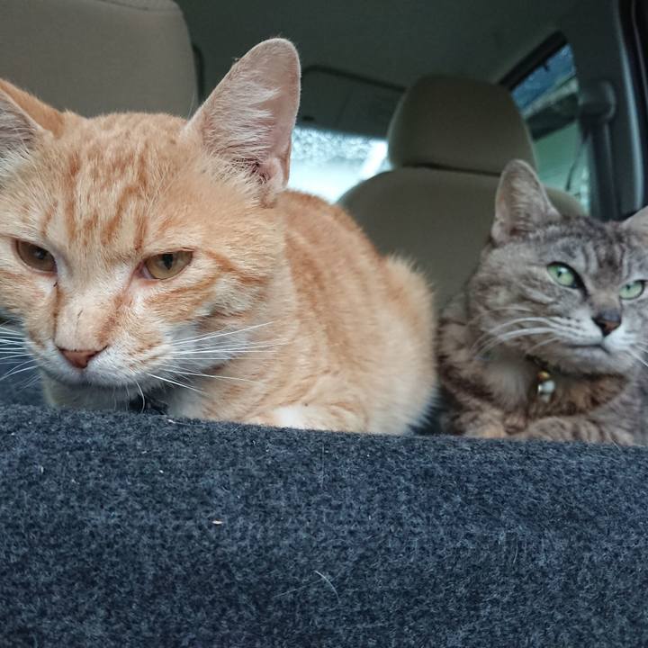 876e7817 8d01 45f8 912e 4690e7adc294 1561283349282