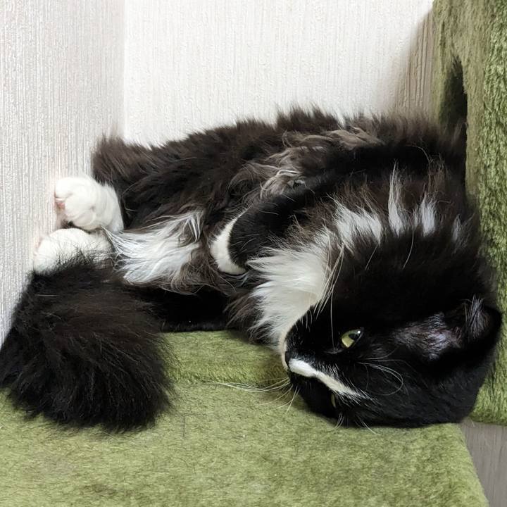 876ebbc2 5eed 4a44 b333 23ec5e174c8d 1684673767528