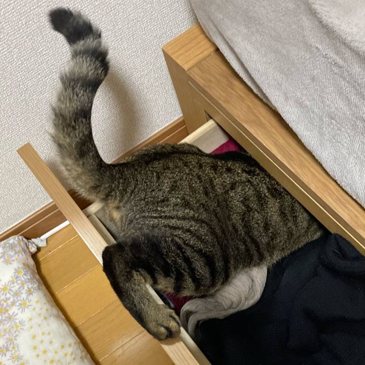 876edd11 3bba 40ea 8547 eacc149cd596 1603029329203