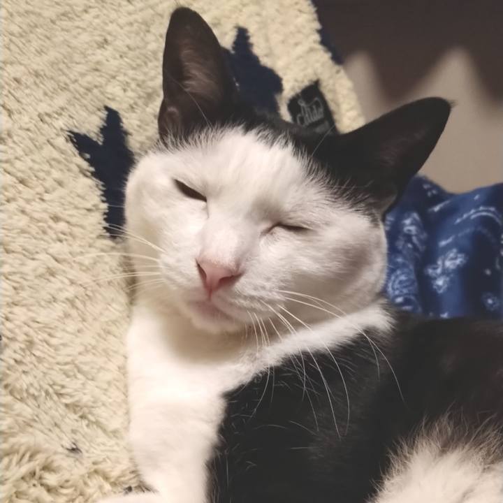 876ee283 013a 4945 b890 c1f69d99ac5c 1600351605940