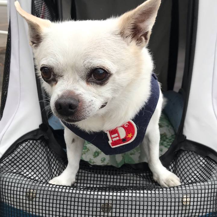 876ef44f 69d5 4fb2 8cc5 c5db1bbe2354 1633661596999