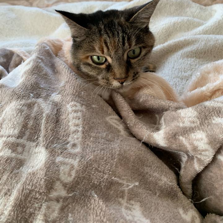 876f0484 f81c 4793 a085 e3f791348e4b 1769398910222