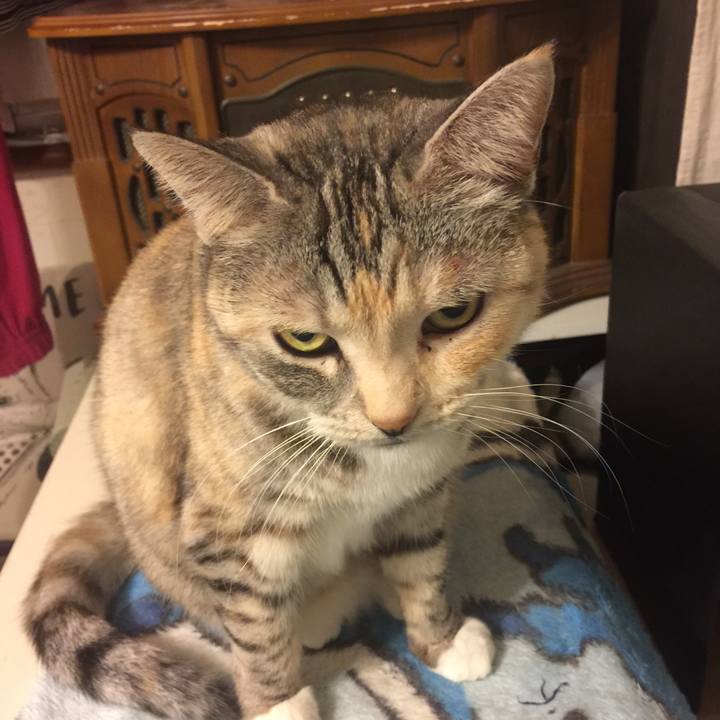 876f1b34 e65d 47d3 ac7a 64aabfdc48fd 1547483753664