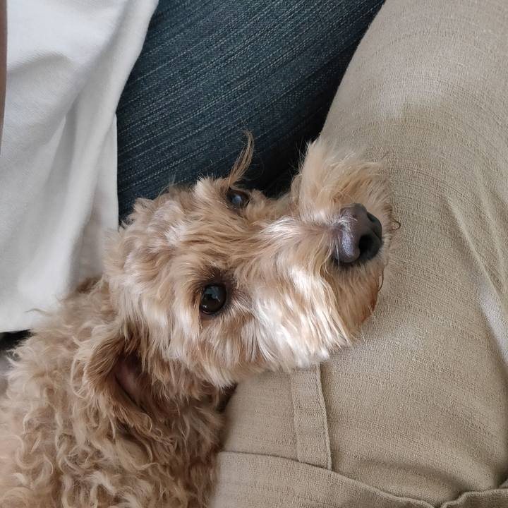 876f286a 4e2c 4681 bd2b ce15b1fd168a 1596241476685