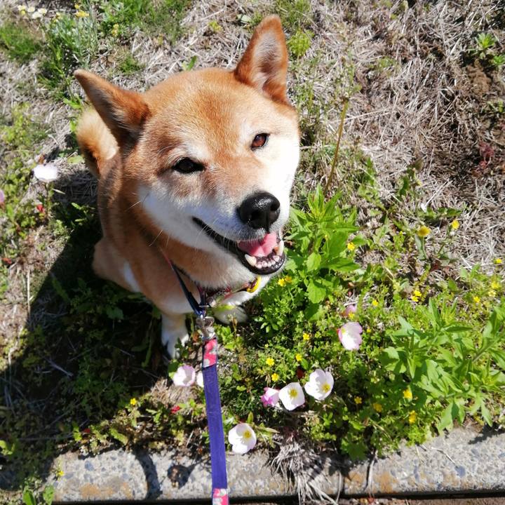 876f2e2c 6050 4821 8beb 2700b17ff3c6 1589164538961