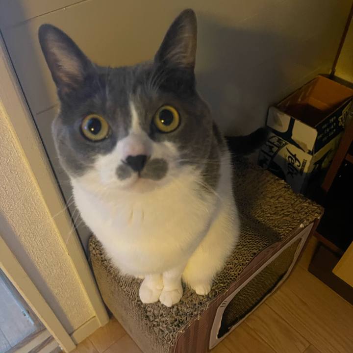 876f30aa 1449 4f1a 8b04 9fd148daa0d9 1743721113396