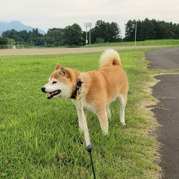 876f5502 d4b0 4875 8d4c 6c65b06340cd 1628153748269