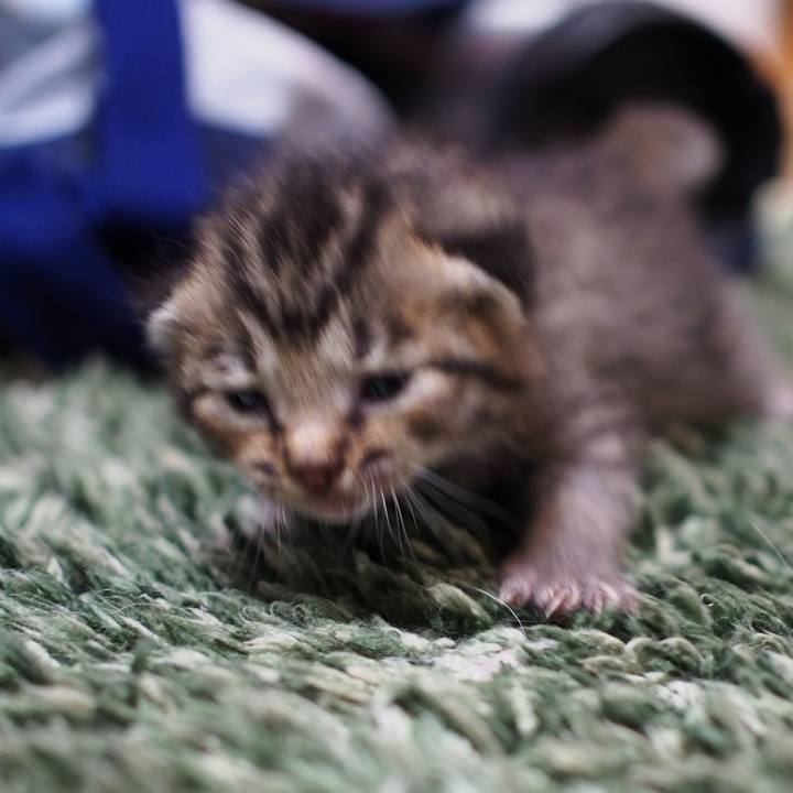 876f7dac 3b98 4069 b62c 371ad47cc341 1558534807034