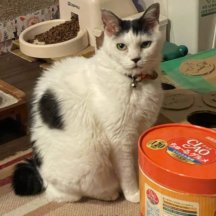 876fe089 1f58 484c 8707 6abec5844e7c 1726754584604