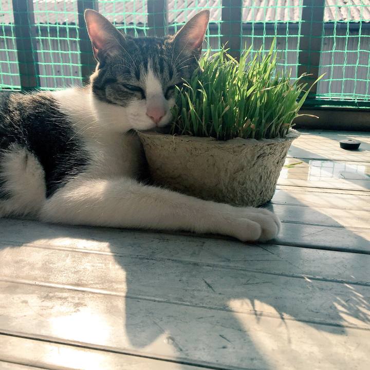 87703679 9042 47a2 aa5d 21dd453ac70b 1522808402319