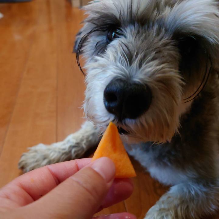 877038ef 78e3 462c 918e 04ae91b785ce 1760310456370