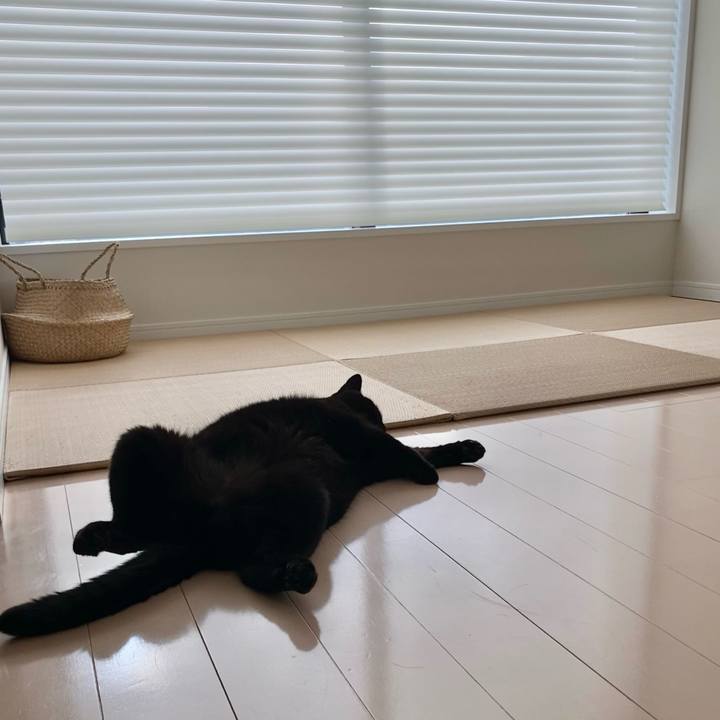 87704474 a8b2 4754 a249 5a9125b5b5c5 1632618355718